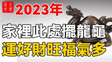 龍龜破損|龍龜擺放位置禁忌不可不知！精通風水老師教你如何擺。